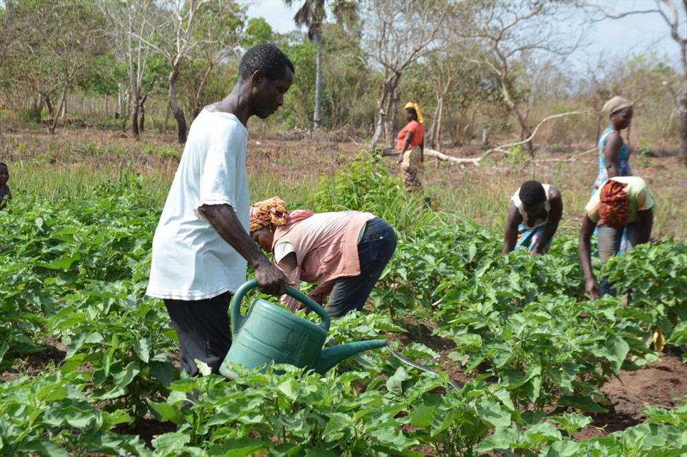 School of Climate Change and Sustainability in Tiigo, Marsabit County